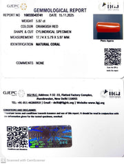 5.87/CT Natural Red Coral With Govt. Lab Certificate-10833D43741